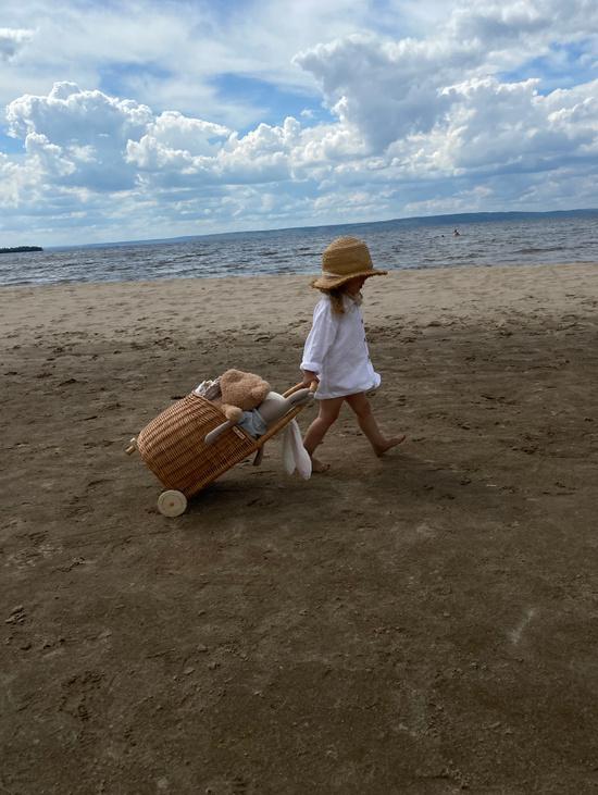 Плетеная тележка