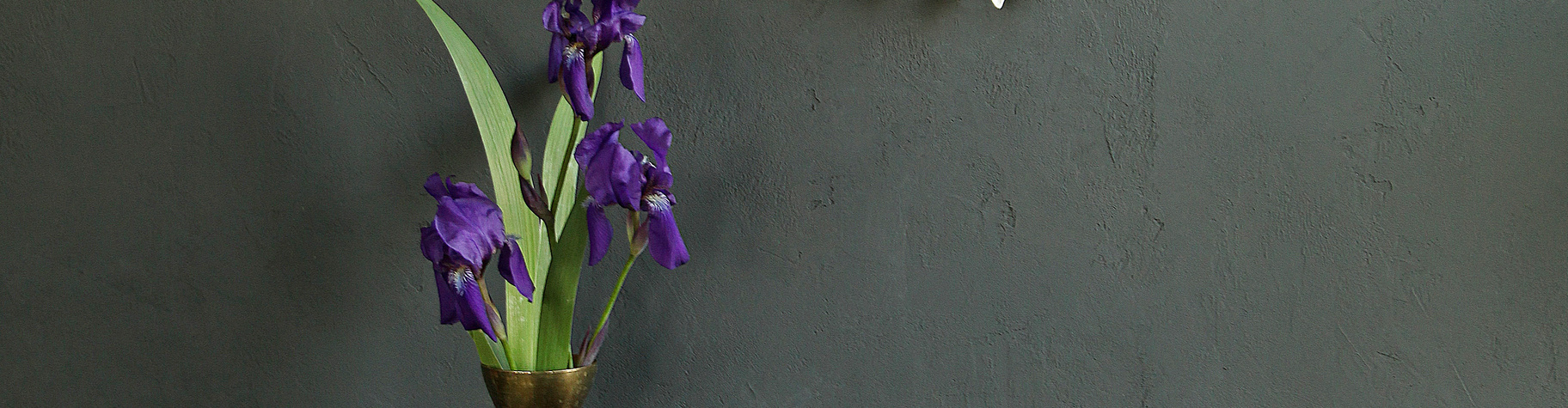CeraMilla