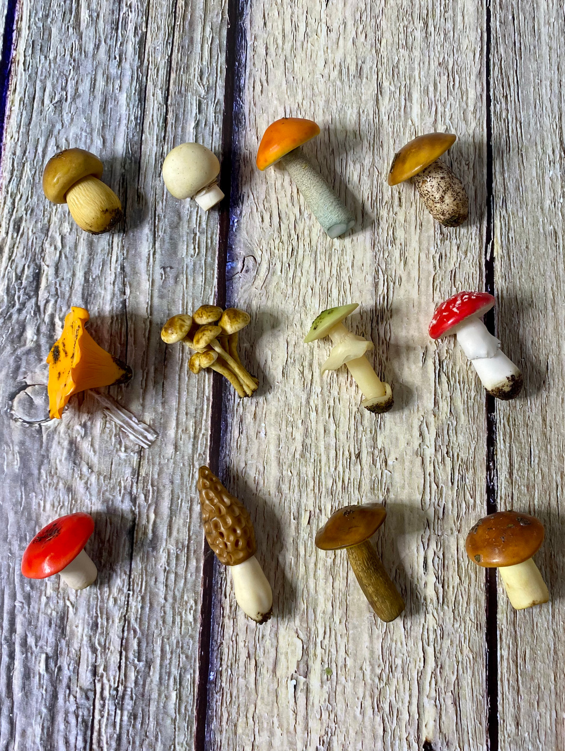 Игровой набор "Грибы из полимерной глины с карточками" - фотография товара