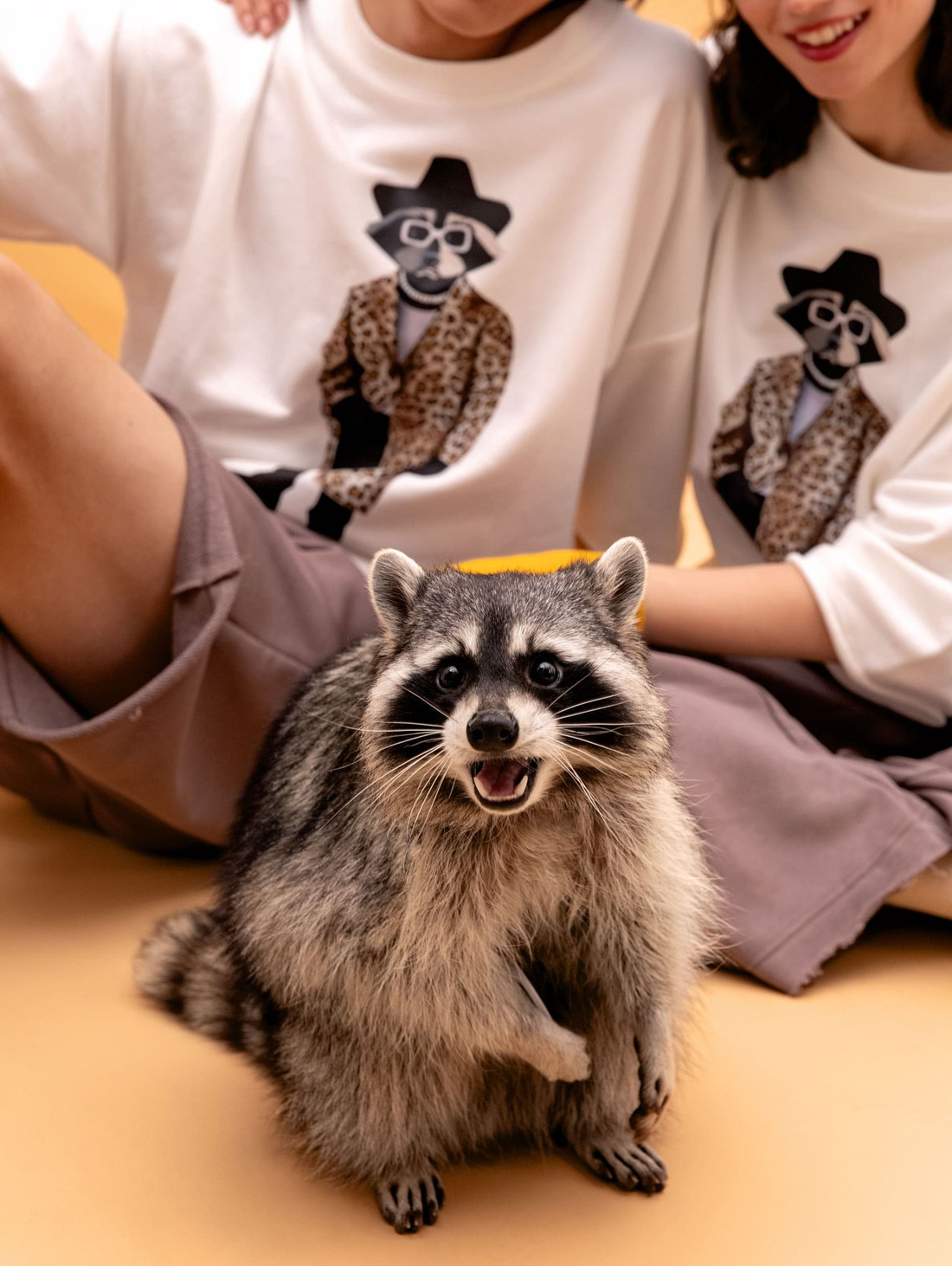 Свитшот SWEATSHIRT FIRST LEO - фотография товара