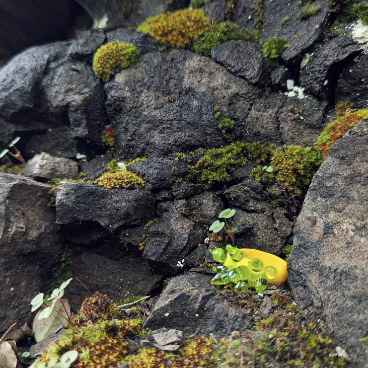 Кольцо ROZHKI moss