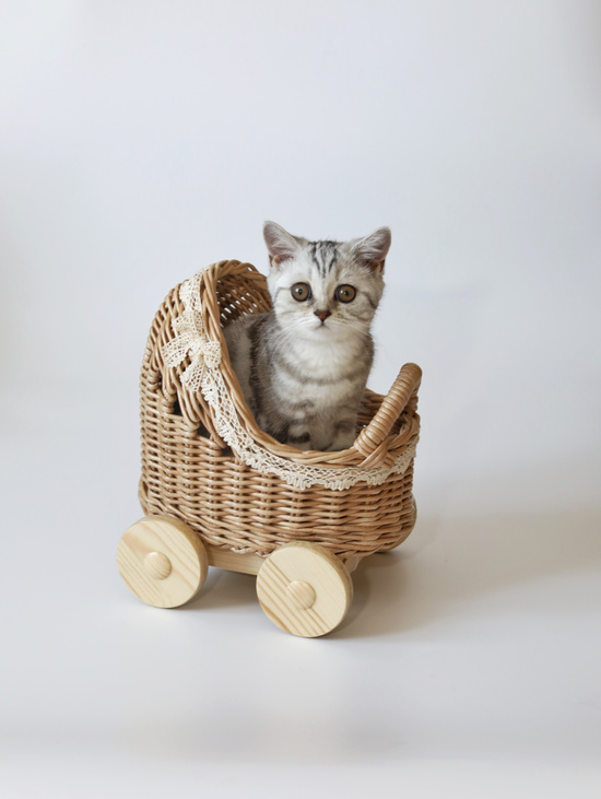 Плетеная коляска для кукол 23 см с постелькой