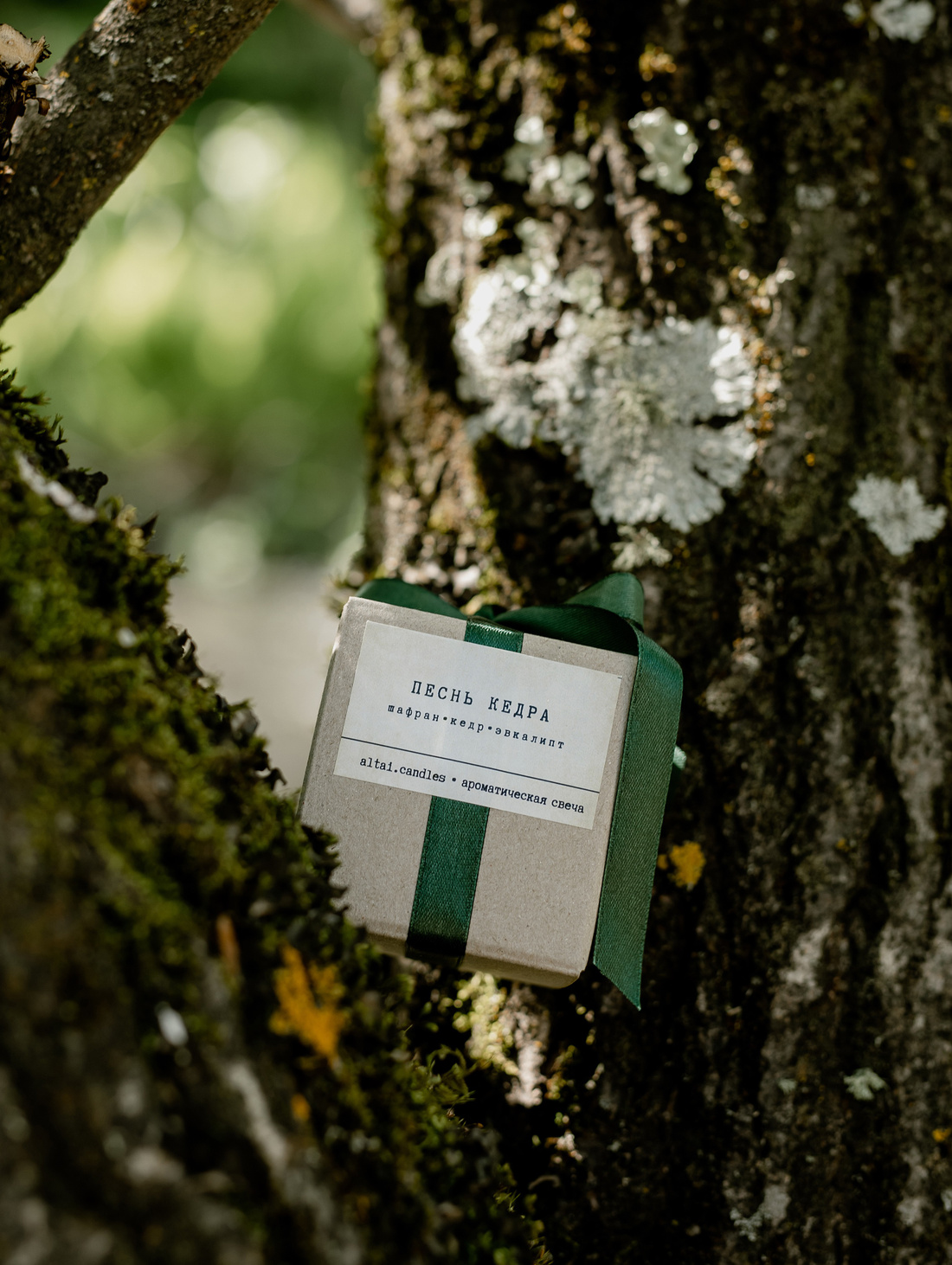 Аромасвеча "Песнь кедра" - фотография товара