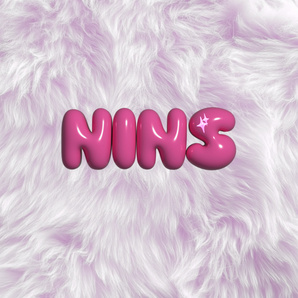 NINS