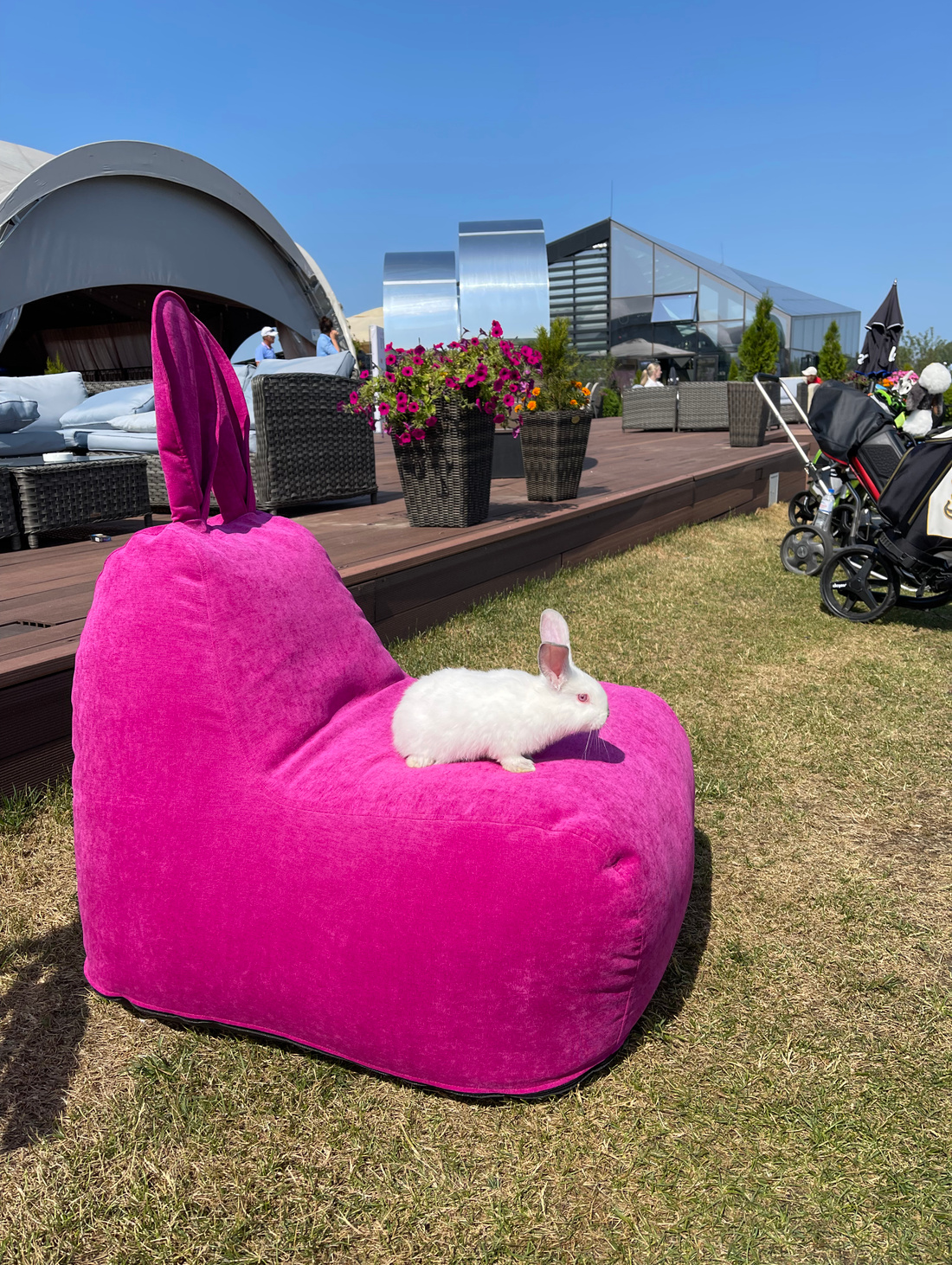 Кресло-пуф "Заяц" Small в велюре, Фуксия - фотография товара