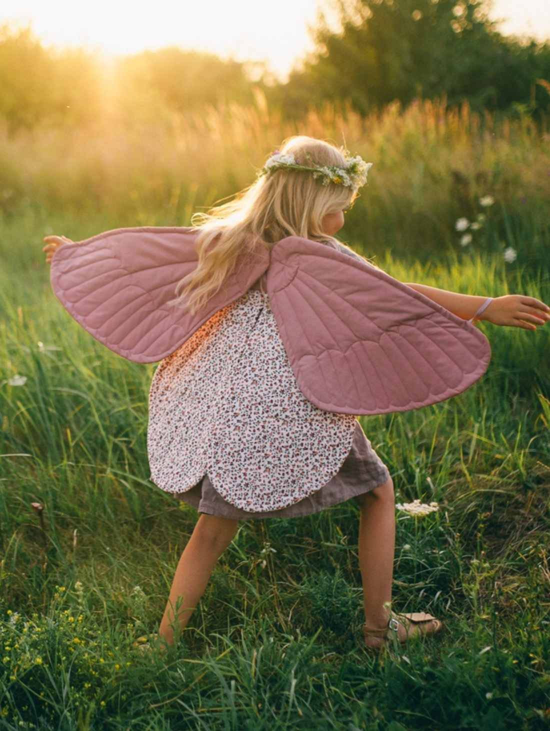 Крылья Мотылька - фотография товара