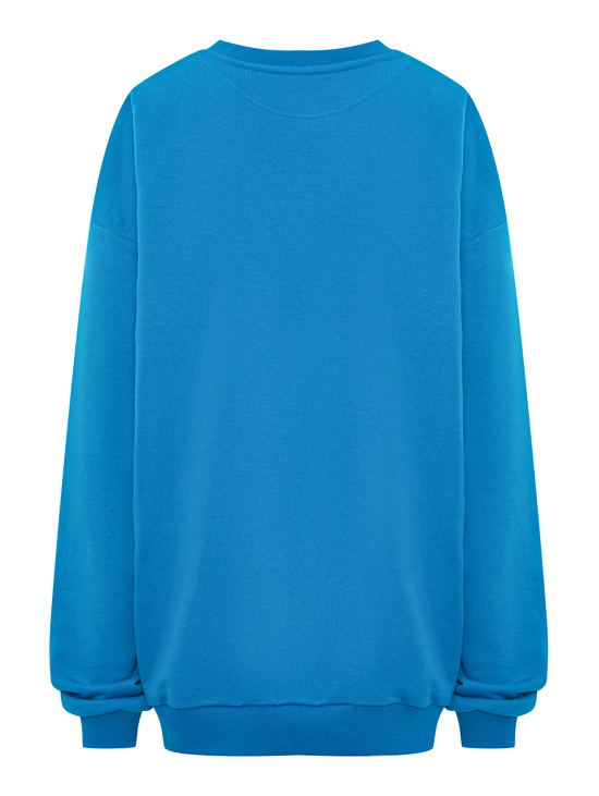 Свитшот SWEATSHIRT LONG SLEEVE RACCOON-ORANGE BLUE