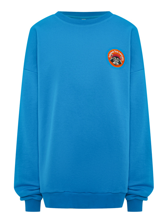 Свитшот SWEATSHIRT LONG SLEEVE RACCOON-ORANGE BLUE