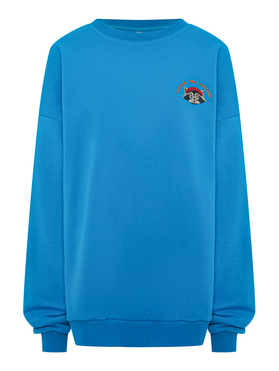 Свитшот SWEATSHIRT LONG SLEEVE RACCOON-WHITE BLUE
