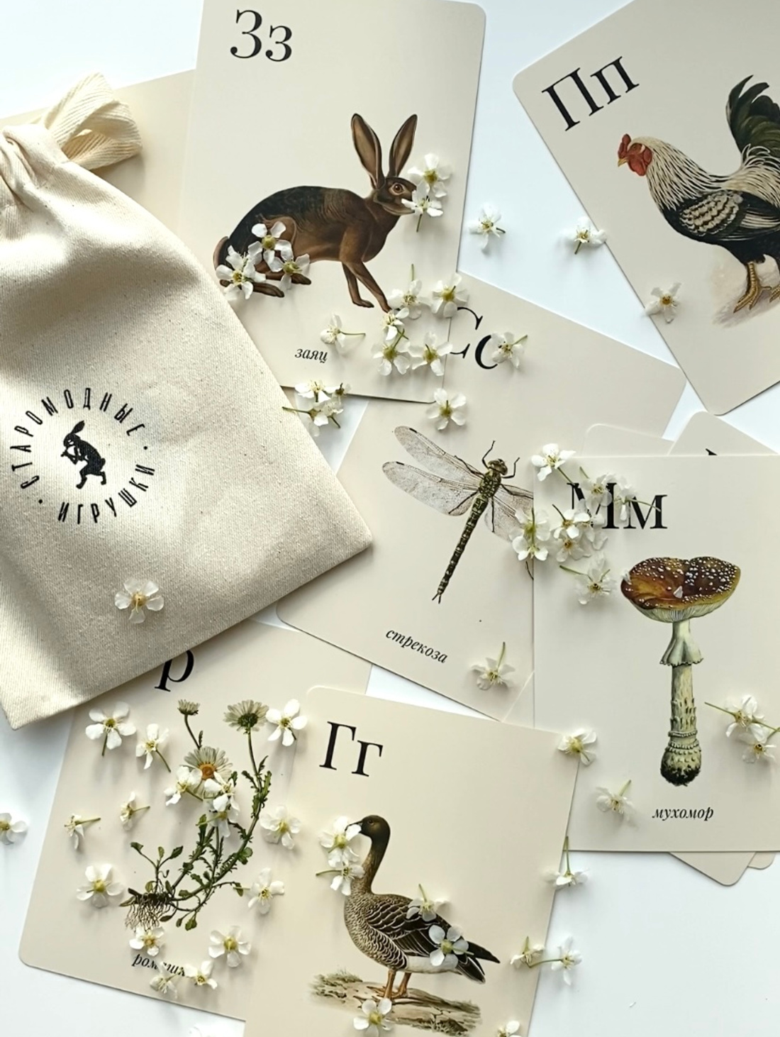 Развивающие карточки «Юный натуралист» - фотография товара