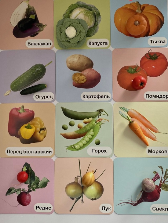 Игровой набор "Овощи из полимерной глины с карточками"