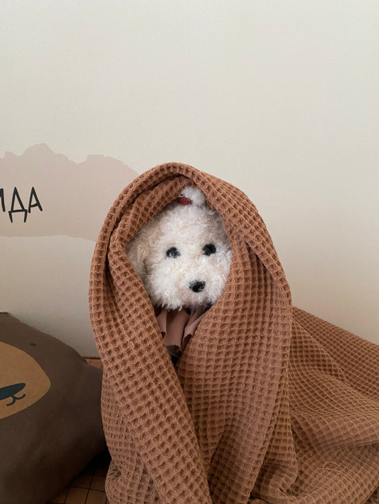 Мягкая игрушка "Собака мальтипу"