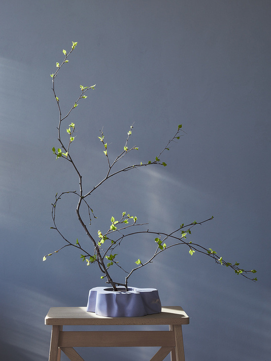 Чаша "Tree-Bowl" Белый