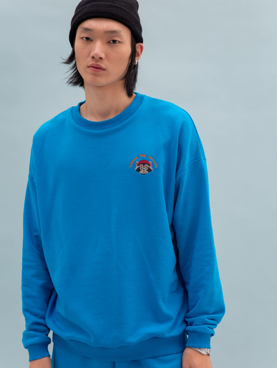 Свитшот SWEATSHIRT LONG SLEEVE RACCOON-WHITE BLUE