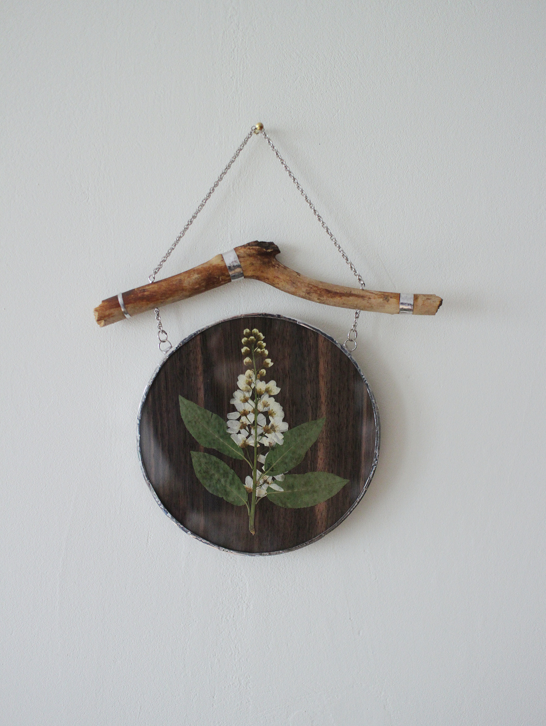 Панно с гербарием "Черемуха" - фотография товара