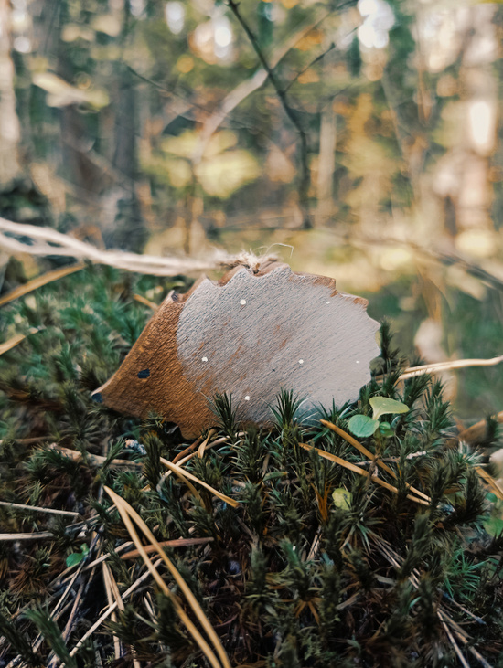 Елочная игрушка "Ежик Фима"