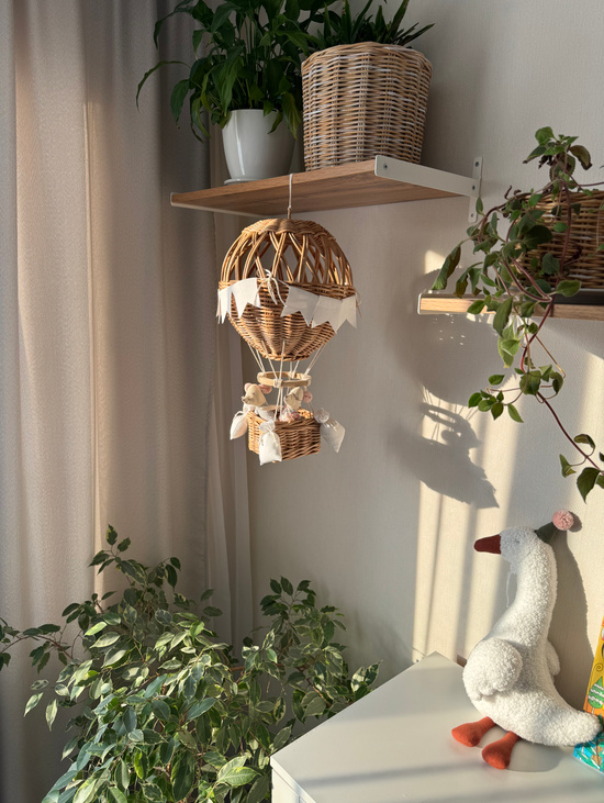 Плетёный воздушный шар