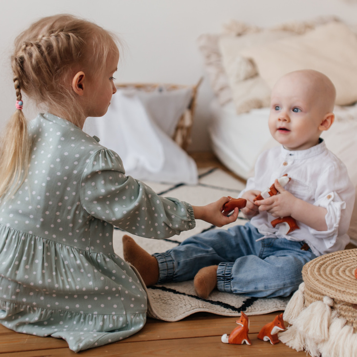 Набор деревянных игрушек Семья лис