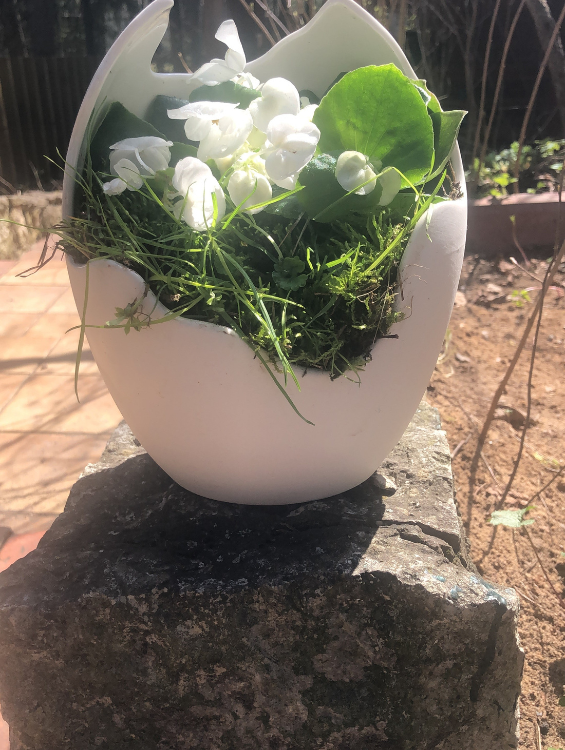 Ваза Скорлупа - фотография товара