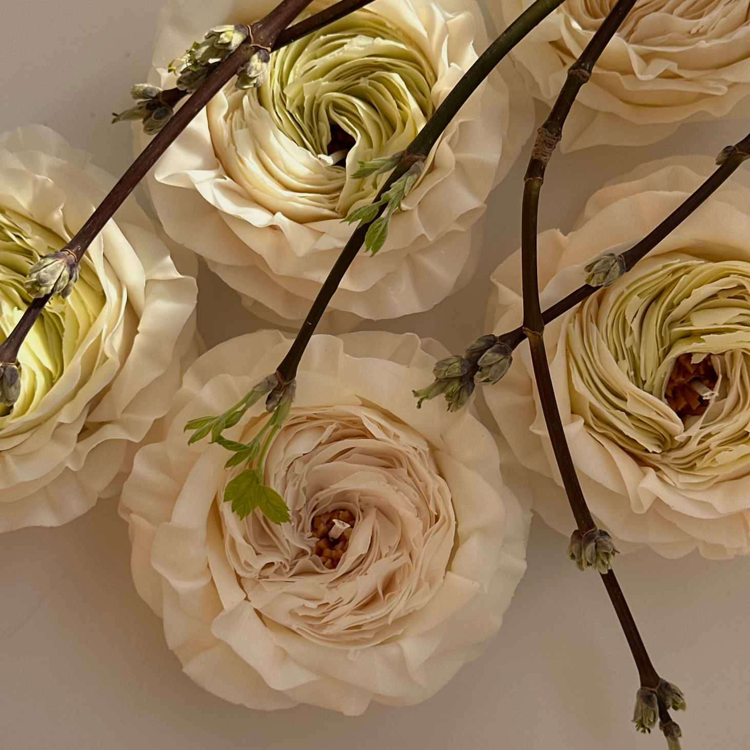 Свеча Роза "Кейра" - фотография товара