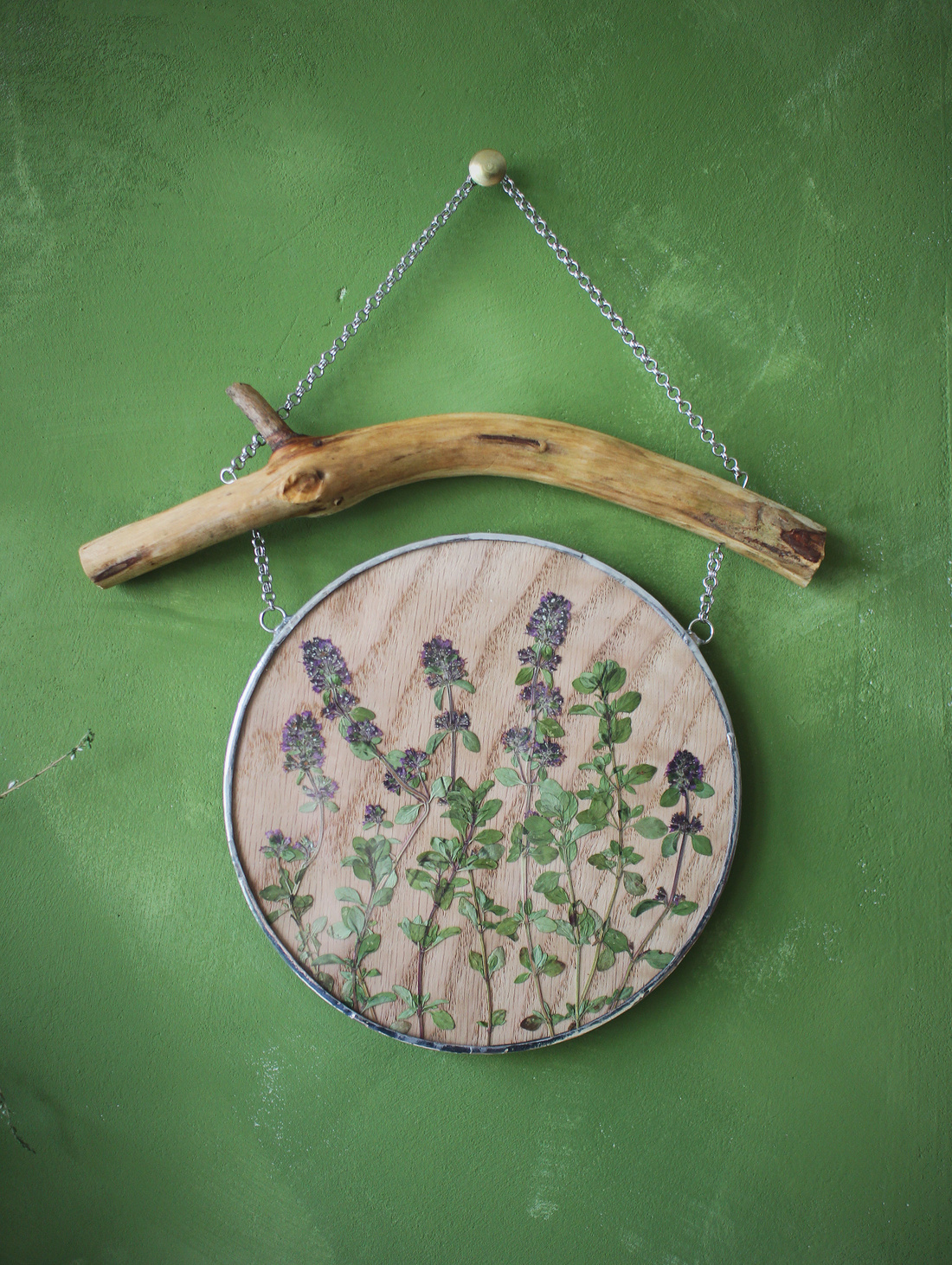 Панно с гербарием "Чабрец" - фотография товара