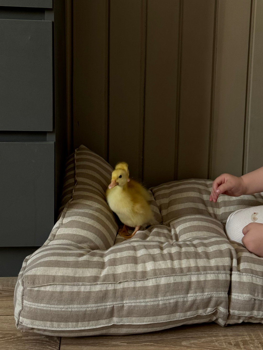 Матрас напольный для арки Пиклера Basic | тёмная полоска - фотография товара