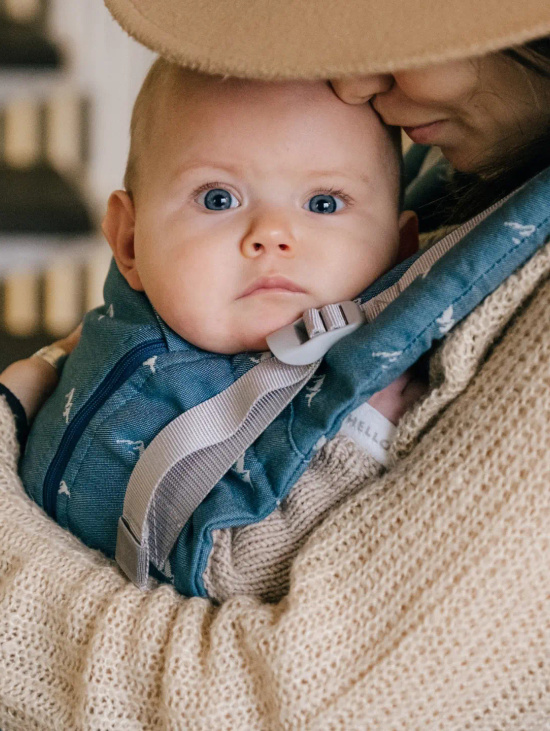 Эрго-рюкзак с рождения "Светоч", расцветка Саяны