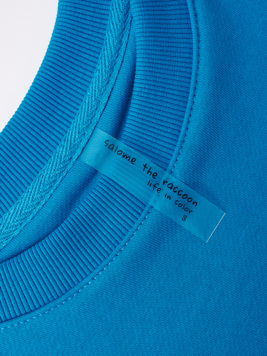 Свитшот SWEATSHIRT LONG SLEEVE RACCOON-WHITE BLUE