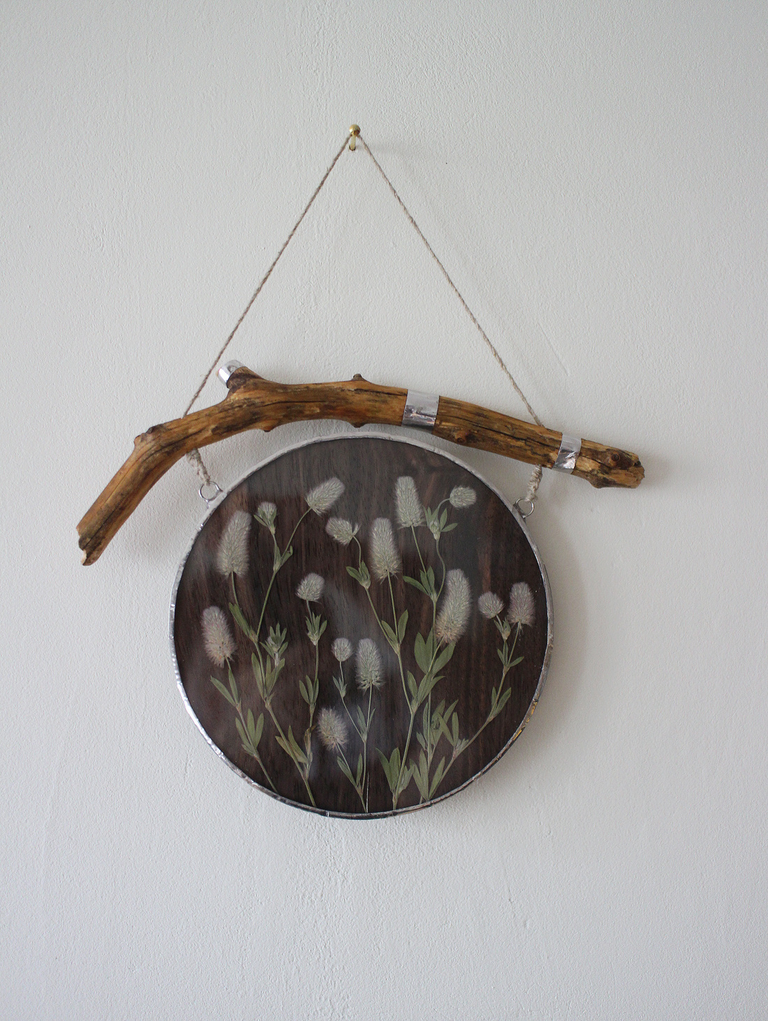 Панно с гербарием "Кошачий клевер и Эбеновое дерево" - фотография товара