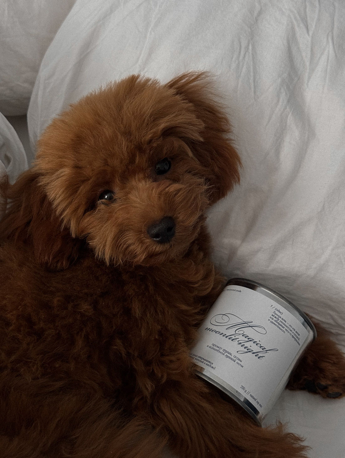 Соевая свеча "Волшебная лунная ночь" - фотография товара