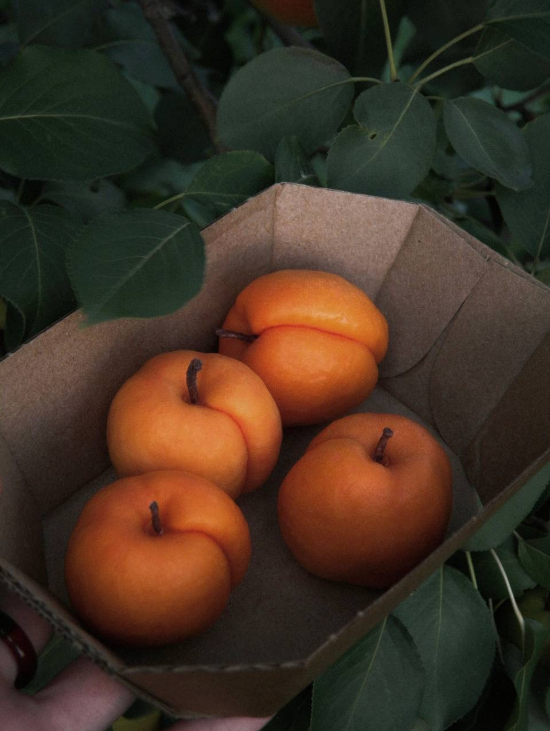 Интерьерные свечи «Спелый абрикос» - фотография товара