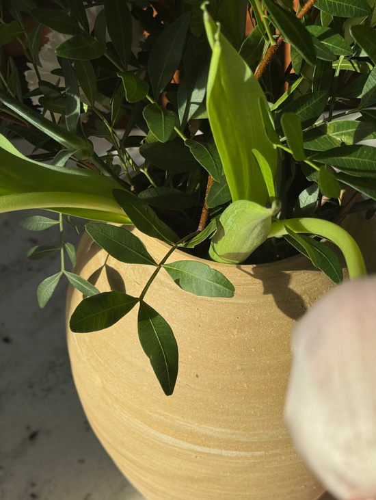 Ваза "Пшеница"